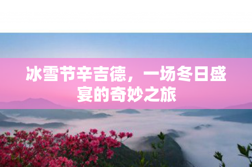 一场冬日盛宴的奇妙之旅图片