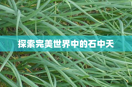探索完美世界中的石中天图片