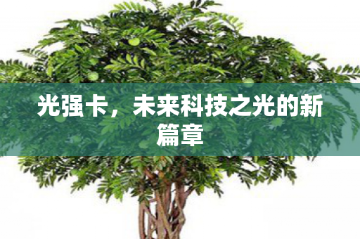 未来科技之光的新篇章图片