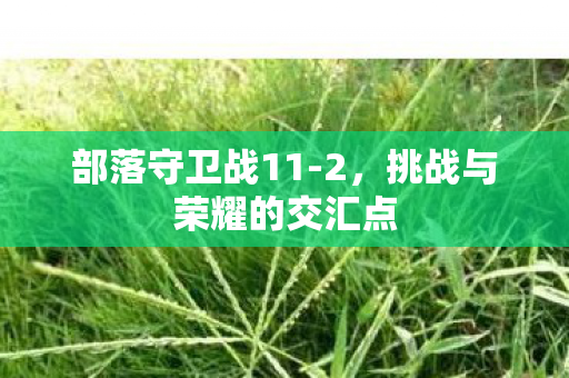 挑战与荣耀的交汇点图片