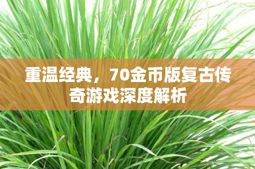 70金币版复古传奇游戏深度解析图片
