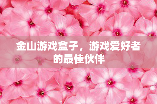 游戏爱好者的最佳伙伴图片