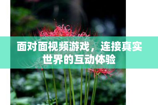 连接真实世界的互动体验图片