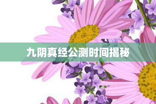 九阴真经公测时间揭秘图片