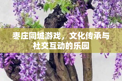 文化传承与社交互动的乐园图片