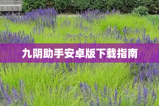 九阴助手安卓版下载指南图片