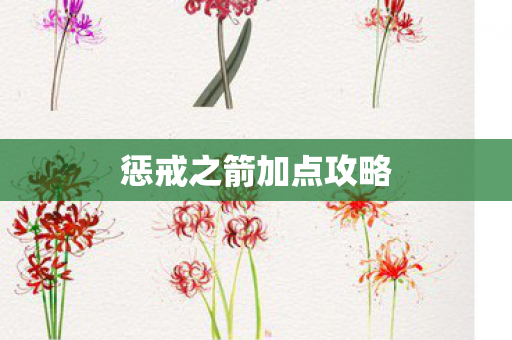 惩戒之箭加点攻略图片