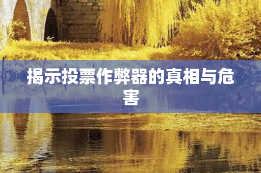 揭示投票作弊器的真相与危害图片