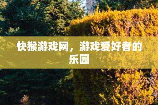 游戏爱好者的乐园图片
