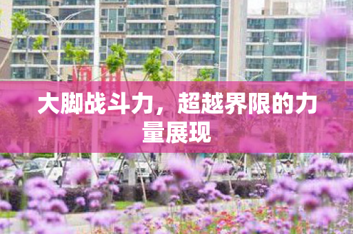 超越界限的力量展现图片