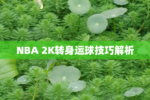 NBA 2K转身运球技巧解析图片