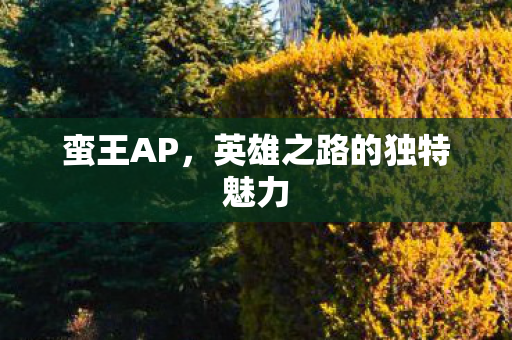 英雄之路的独特魅力图片