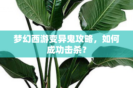 梦幻西游变异鬼攻略图片