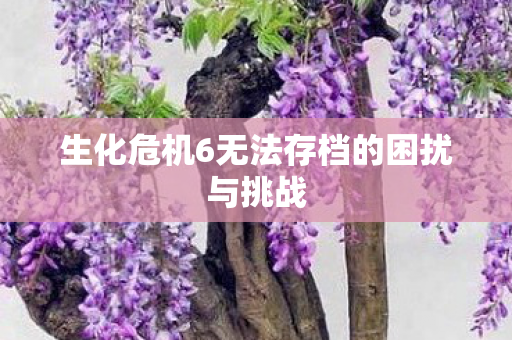 生化危机6无法存档的困扰与挑战图片