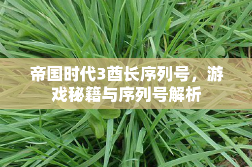 帝国时代3酋长序列号图片
