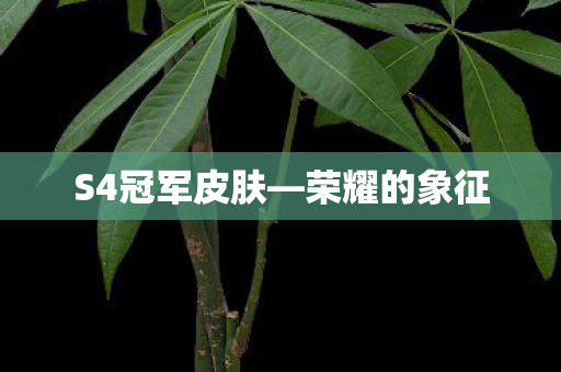 S4冠军皮肤图片