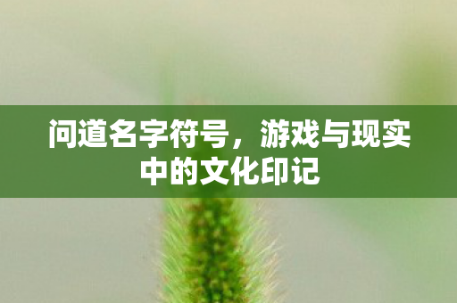 游戏与现实中的文化印记图片