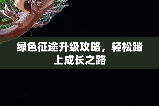 绿色征途升级攻略图片