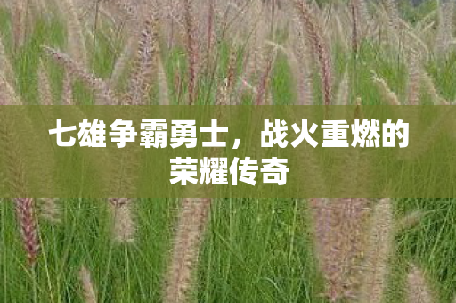 战火重燃的荣耀传奇图片