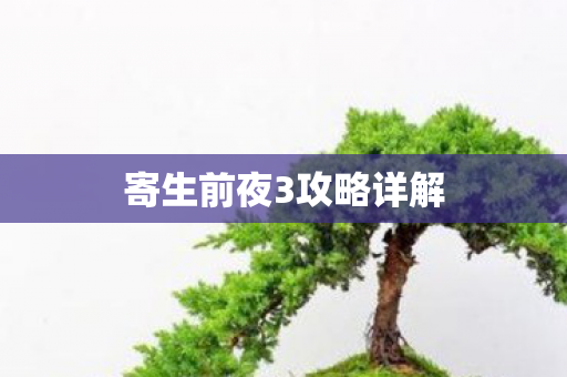寄生前夜3攻略详解图片