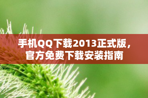 手机QQ下载2013正式版图片