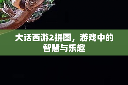 游戏中的智慧与乐趣图片