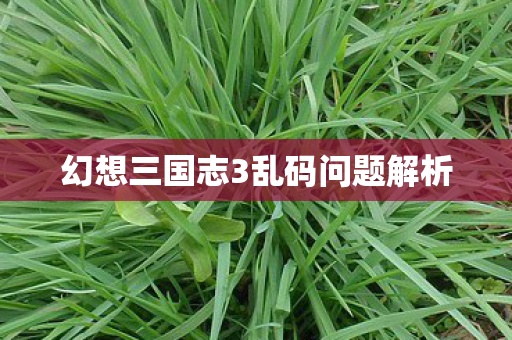 幻想三国志3乱码问题解析图片
