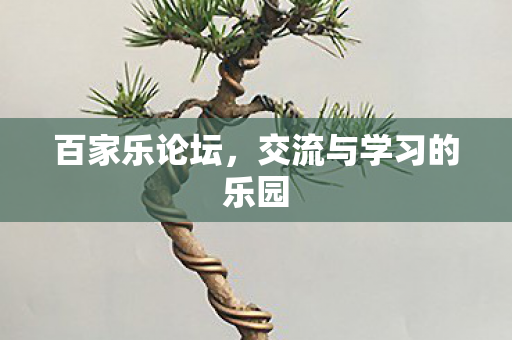 交流与学习的乐园图片