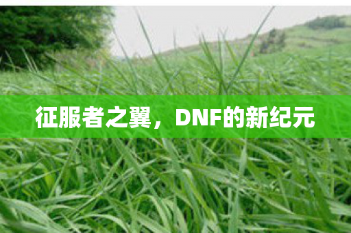 DNF的新纪元图片