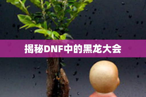 揭秘DNF中的黑龙大会图片