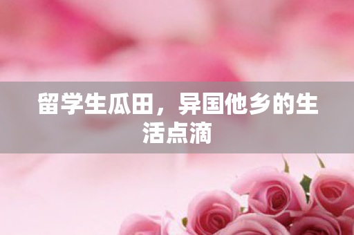 异国他乡的生活点滴图片
