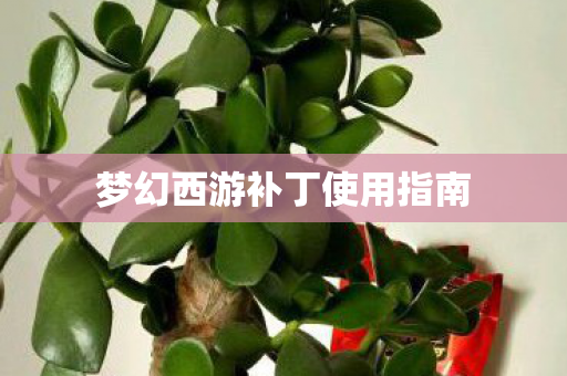 梦幻西游补丁使用指南图片
