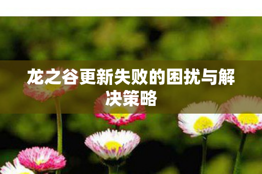 龙之谷更新失败的困扰与解决策略图片