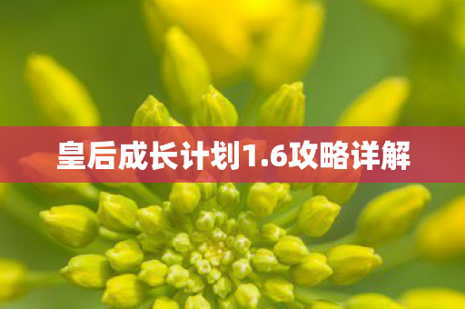 皇后成长计划1图片
