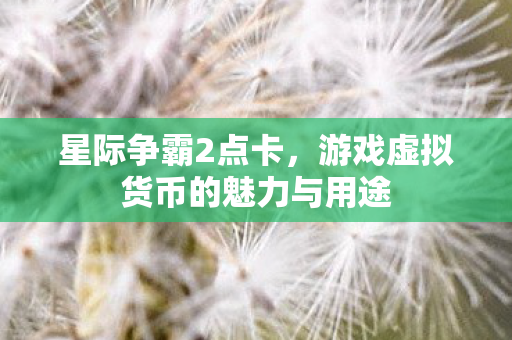 游戏虚拟货币的魅力与用途图片