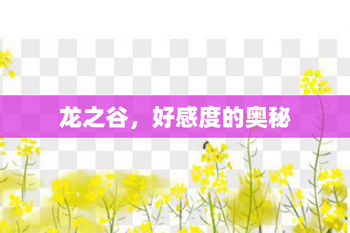 好感度的奥秘图片