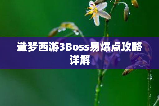 造梦西游3Boss易爆点攻略详解图片