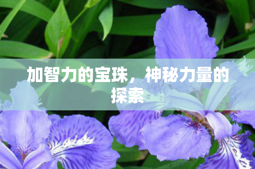 神秘力量的探索图片