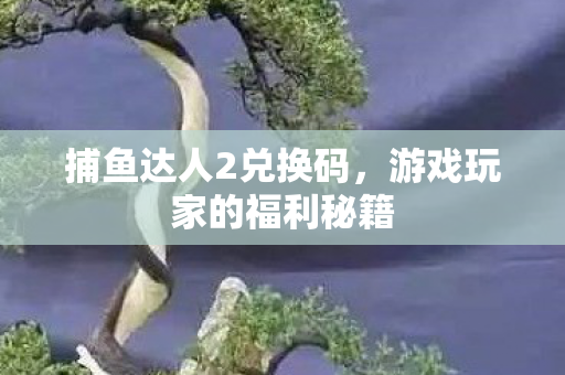 游戏玩家的福利秘籍图片