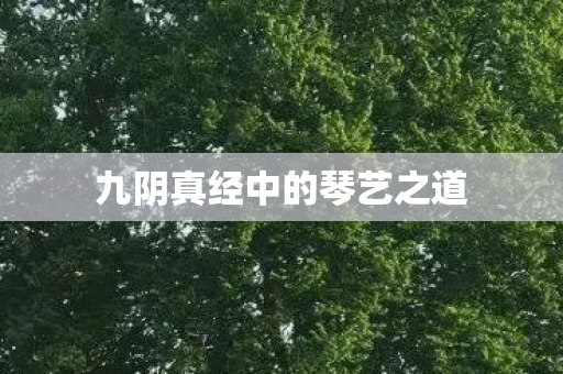 九阴真经中的琴艺之道图片
