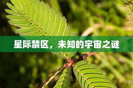 未知的宇宙之谜图片