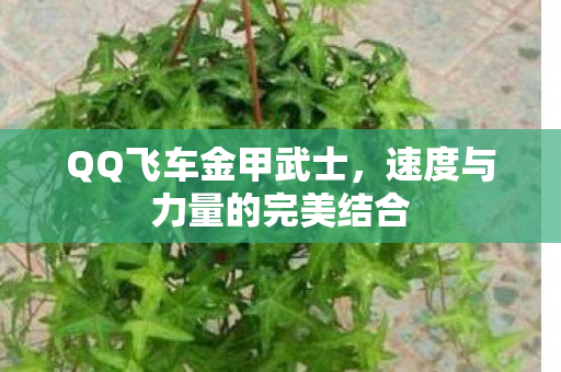 速度与力量的完美结合图片