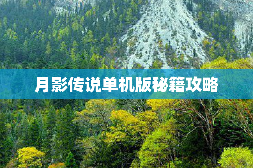 月影传说单机版秘籍攻略图片