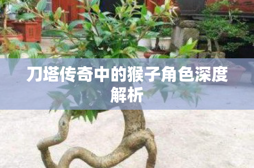 刀塔传奇中的猴子角色深度解析图片