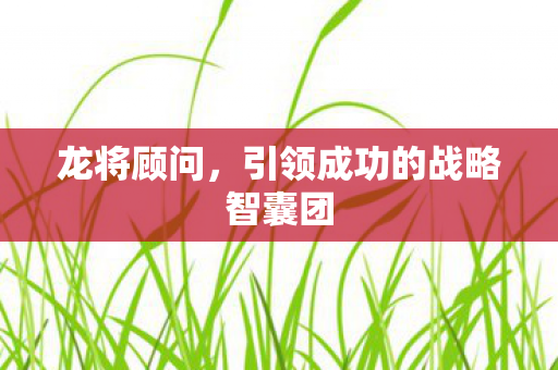 引领成功的战略智囊团图片