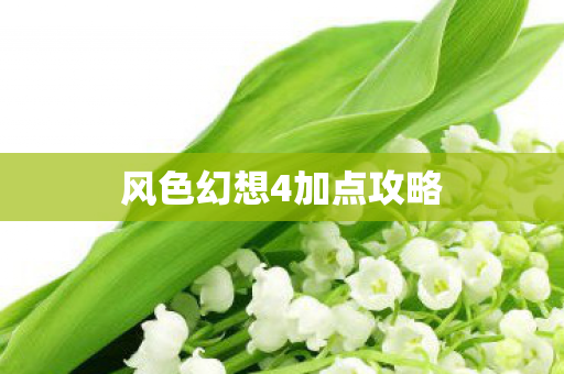 风色幻想4加点攻略图片