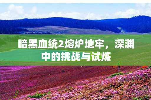 暗黑血统2熔炉地牢图片