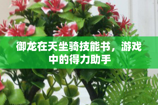 御龙在天坐骑技能书图片