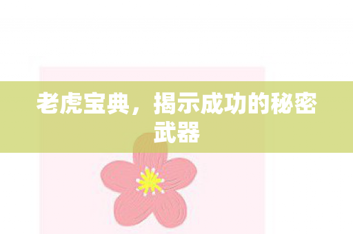 揭示成功的秘密武器图片