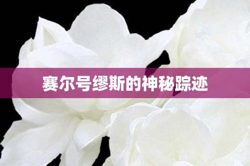 赛尔号缪斯的神秘踪迹图片